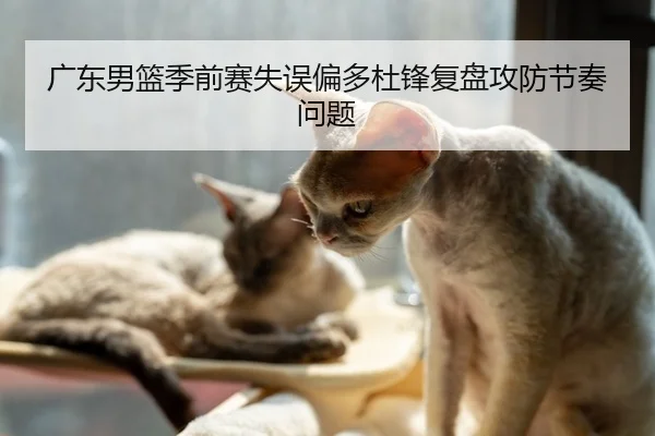 广东男篮季前赛失误偏多杜锋复盘攻防节奏问题
